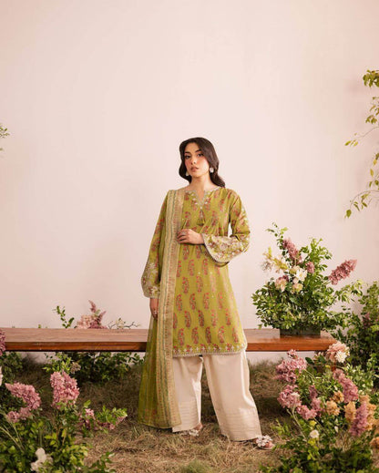 Beautiful salwar suit for women