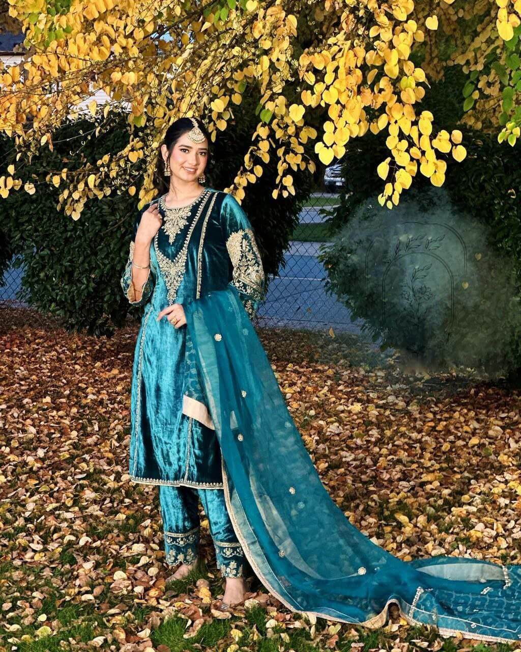 Heavy Viscose Velvet Dress Suit For Women