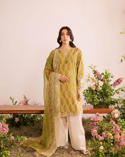 Beautiful salwar suit for women