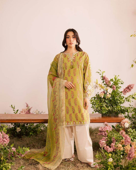 Beautiful salwar suit for women