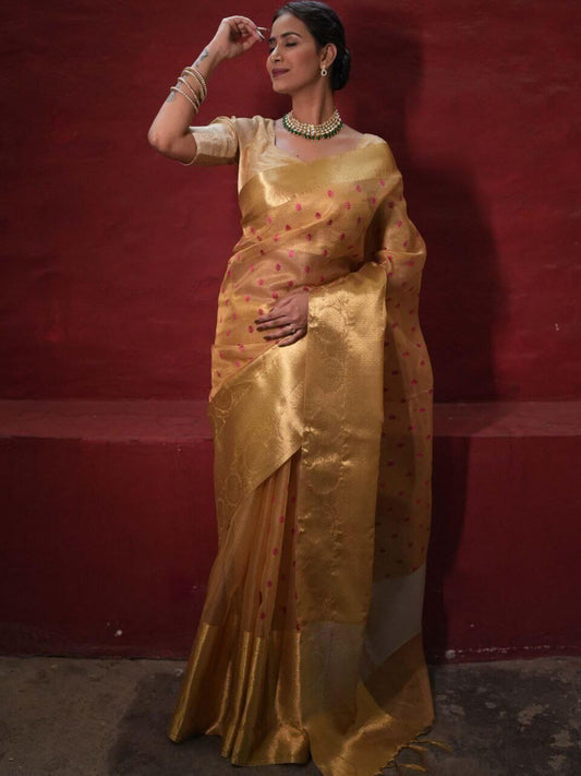 Banarasee Handwoven Broad Saree